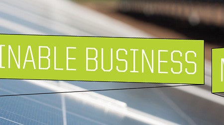 Sustainable Business Minor