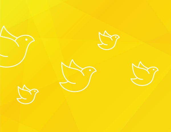 Graphic icon art of birds in white against a yellow background