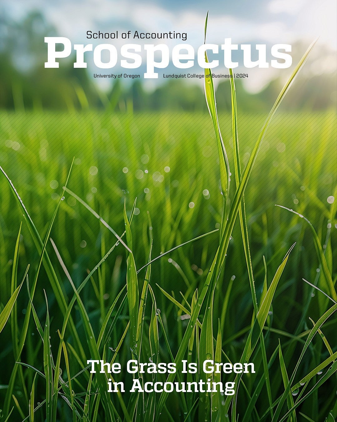 Cover of the 2024 Prospectus, which bears the text "The Grass is Greener in Accounting" against a background of blades of grass