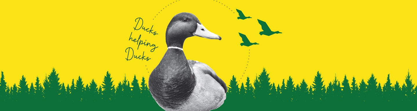 A black and white illustration of a mallard with the text "Ducks Helping Ducks"