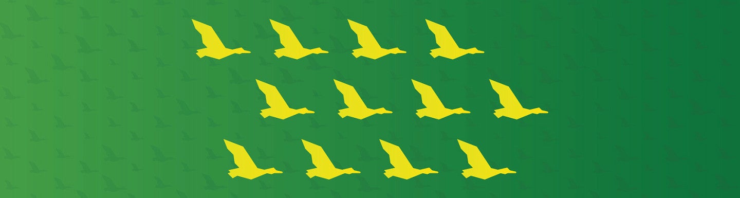 A simple solid-color repeating patten of flying ducks