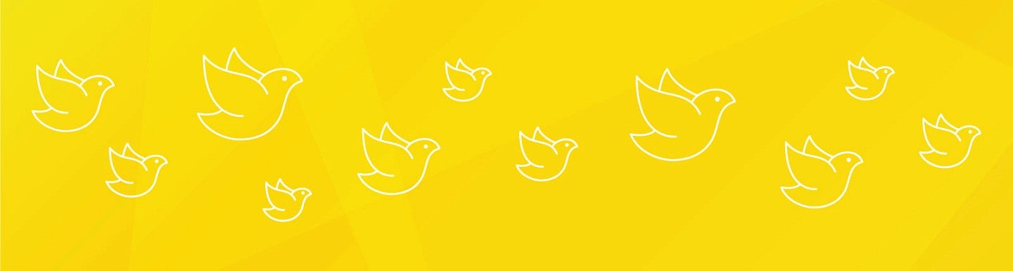 Graphic icon art of birds in white against a yellow background