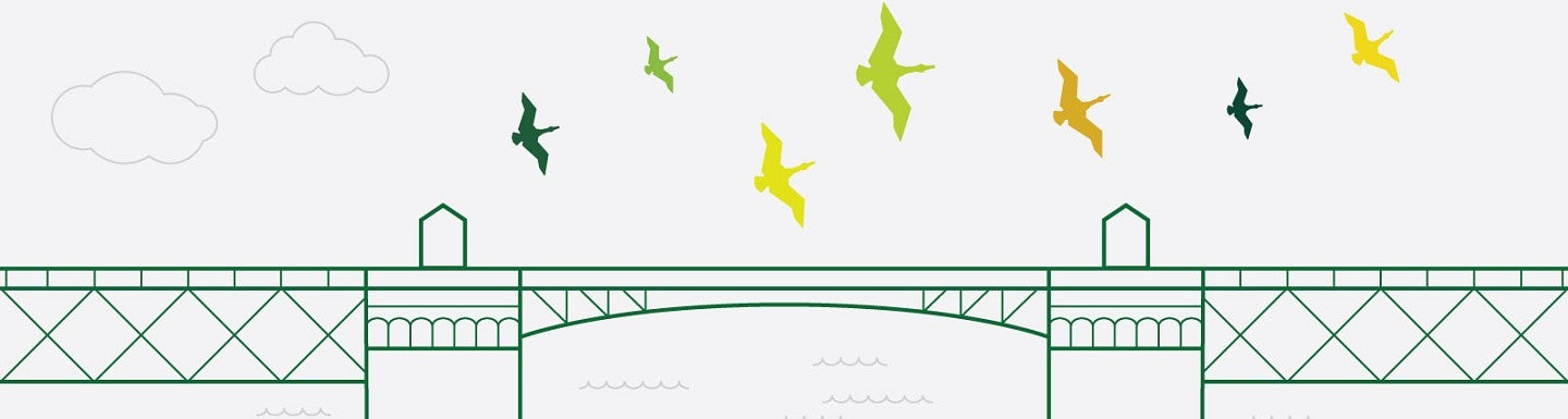 Illustration with line art of a Portland bridge over with duck flying icons in color flying over the bridge on a white background