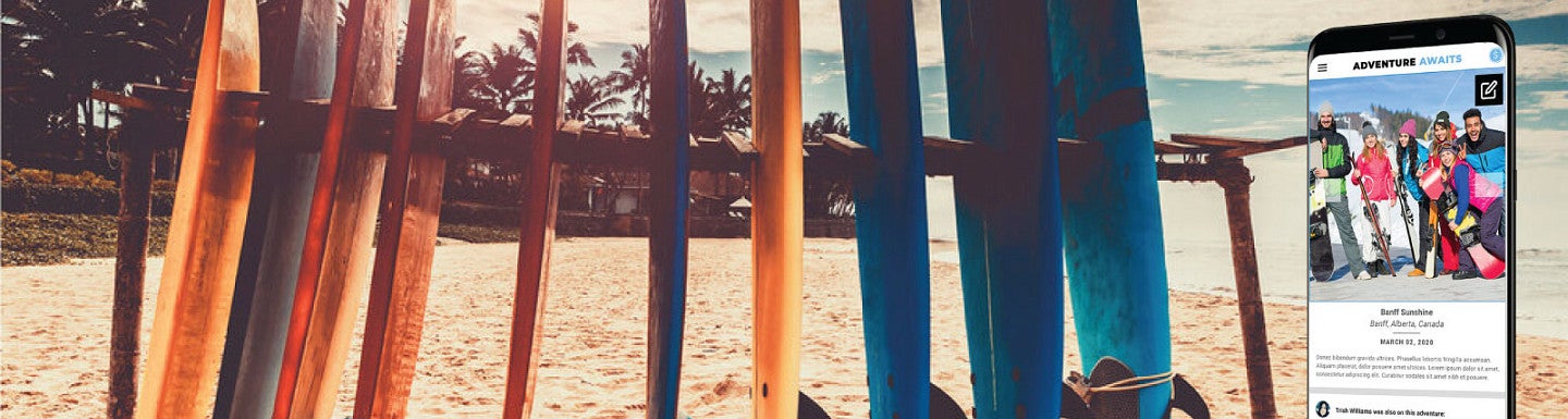 Photo of surfboards positioned upright in the sand