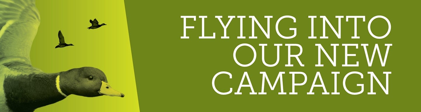 Campaign Takes Flight: Join Us