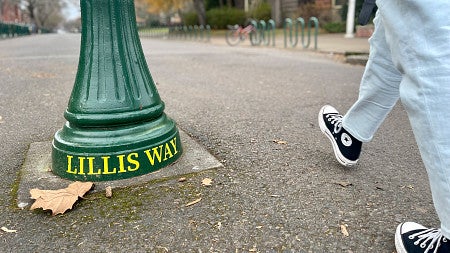 Photo of one of the green lampposts that line East 13th Avenue. The words LILLIS WAY have been painted in yellow on the base.