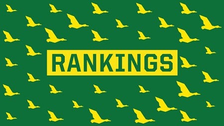 The text "Rankings" surrounded by a pattern of flying ducks