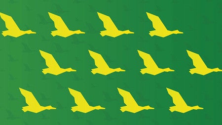 A simple solid-color repeating patten of flying ducks